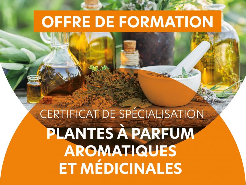 Formation Certificat de Spécialisation Plantes à Parfum Aromatiques et Médicinales